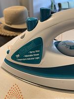 Close-up image of Rival steam iron showing control buttons and brand label