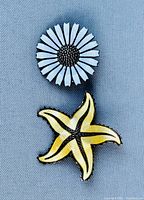 Front view of the two brooches; one shaped like a white daisy, one shaped like a yellow starfish, both with detailed enamel work and silver edges.