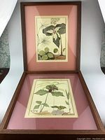Two framed watercolour paintings of trillium flowers shown together with pink mats and wood frames.
