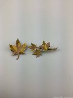Pair of vintage leaf motif pins set on white background