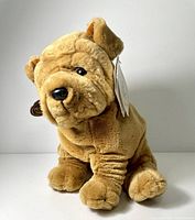 Front-side view of plush Shar-Pei dog showing tan color and wrinkles