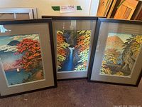 Three framed prints displayed side by side showing overall condition