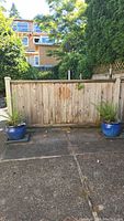 Photo showing two royal blue glazed ceramic garden pots with fern plants placed outdoors on stone pavement near wooden fence.