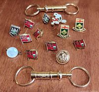 Photo showing various lapel pins mainly flags, a Snoopy tennis player, a naval button, and two metal key fobs on a wooden surface.