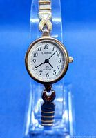 Front view of the watch face showing the Cardinal logo, Arabic numeral hour markers, and the gold-tone bezel framing the white dial.