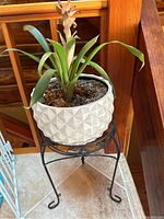 Full view of white geometric patterned planter with plant inside on black metal stand.