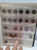 Photo of a binder page holding Canadian pennies from 1873 to 1990s, coins in plastic sleeves marked with years.