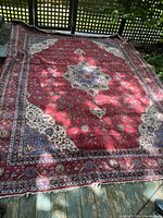 Full overhead view of entire rectangular rug laid flat showing central medallion and border.