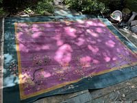 Full view of rose center and green border laid flat outdoors