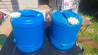 Pair of blue plastic water jugs with white caps on outdoor surface under sunlight.