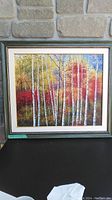 Frontal image of the framed original oil painting by K.Parlor depicting a colorful autumn birch forest