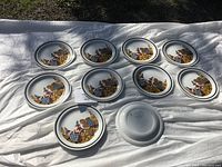 Photo showing all 10 saucers arranged on a white cloth, displaying the floral pattern and quantity.