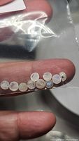 Ten natural rainbow moonstone cabochons inside a clear plastic bag, shown on fingers for scale, displaying characteristic blue flash and milky white body color.