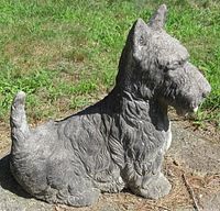 Side view of cement Scottie Dog statue on grass with textured fur and upright ears.
