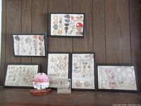 Overview photo showing six framed seashell displays arranged on a wooden wall, a small seahorse and starfish display, and a painted sand dollar clock in front.