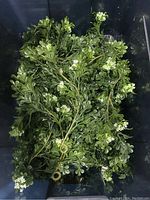 Close-up of dense faux boxwood sprigs with small white flowers inside one of the bins.