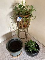 Full view of metal plant stand with potted trailing plant on top plus two additional plant pots on floor