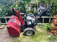 Side view of red Craftsman snowblower with large tires and chute visible, situated outdoors on grass with plants around.