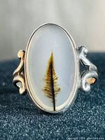 Close-up photo of the front of the ring showing the oval opal with brown tree-like dendritic inclusion inside against a dark background.