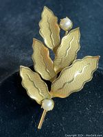 Front view of the vintage ornate textured gold filled leaf brooch with two small faux pearls, displayed on black background.