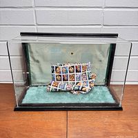 Display box with acrylic lid in place, showing light green fabric backing and plush base inside with small piece of patterned fabric inside.