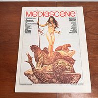Cover page of the MediaScene portfolio with woman standing on a rock surrounded by leopards.