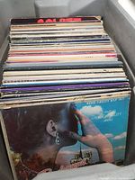 Bin of vinyl records showing multiple colorful album covers packed together vertically.
