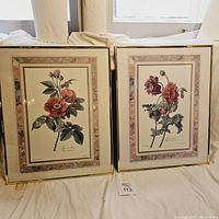Two brass framed floral prints side-by-side showing full frames and artwork