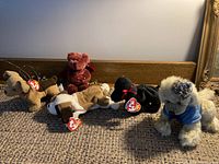 Five TY Beanie Babies plush toys including a light brown poodle, angel bear, black bear, and two dogs all lined up on a carpet with original TY tags.