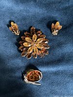 Front view of amber-toned round floral brooch with matching clip-on earrings and silver-tone snail brooch with amber shell on dark fabric