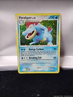 Front side of Feraligatr foil Pokémon card showing detailed holographic effect and attack stats.
