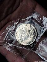Reverse view of the 1968 Canada one dollar coin, showing a loon on the water, sealed in clear plastic.