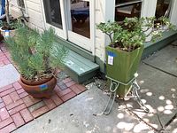 Wide view of two large potted plants outdoors: a terra-cotta pot with succulent and a tall green planter with plant on metal stand.