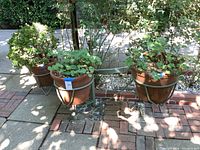 Three terra-cotta planters with green plants sitting on a brick patio, showing overall lot contents and natural lighting.