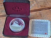 Silver dollar coin in clear protective capsule inside maroon velvet-lined black case.