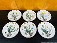 Top view of all six Botanica pattern plates arranged in two rows of three on a black surface against an orange background.