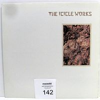Front cover of The Icicle Works self titled LP album showing white cover with embossed title and a nature texture photo.
