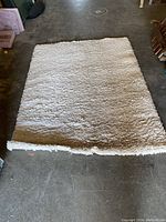 Top-down view of rectangular cream shag rug laid flat on a floor.