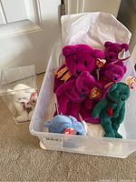 Clear bin containing assorted Ty Beanie Baby bears including pink, green, blue, and white plush bears. White bear displayed separately in acrylic case.