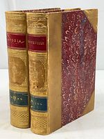 Front-facing angled photo showing two volumes with half-leather marbled bindings and gold gilt titles on spine.