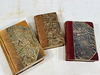 Three antique books with marbled covers and various leather bindings showing wear and sun damage.