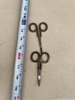 Two pairs of sewing scissors laid flat on a table next to a measuring tape showing size, one smaller ornate pair and one larger plain pair.