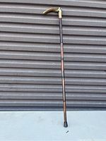 Full length view of the Victorian bamboo cane showing segmented bamboo shaft and carved handle with protective end rubber tip