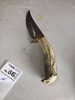 Photo of full hunting knife showing curved blade with hammer texture and antler handle with natural coloration, measuring about 10 inches long.