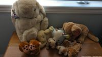 All 8 stuffed animals displayed on wooden surface with window behind