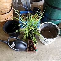 Image showing black plastic watering can, white decorative metal planter, live green plant in red pot, assorted gardening tools in metal tray, and black and blue plastic planters.