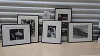Six assorted framed photographs by David W. Lyon shown arranged together, depicting trees, flowers in black and white, and color tulips.