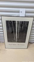 Framed black and white Ansel Adams "The Aspens" photography poster leaning against storage unit door, showing the entire front view including frame and text.