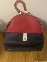 Front view of the Tommy Hilfiger mini backpack showing red upper half, blue lower half, white tab with metal logo, zipper detail and top handle.