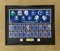 Full framed memorabilia display with Maple Leafs jerseys and player cards